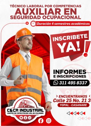 Cursos